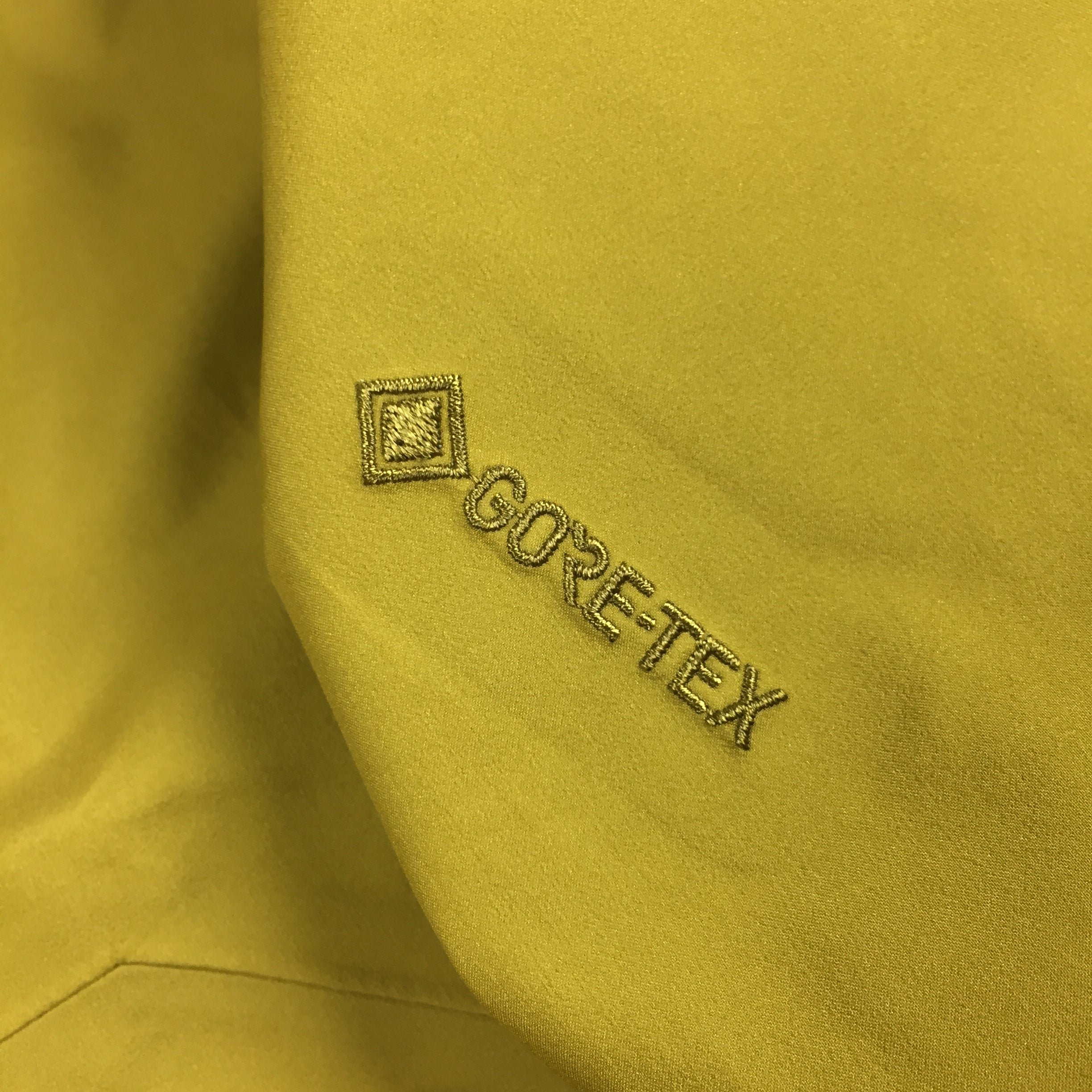 Arcteryx Daze Beta