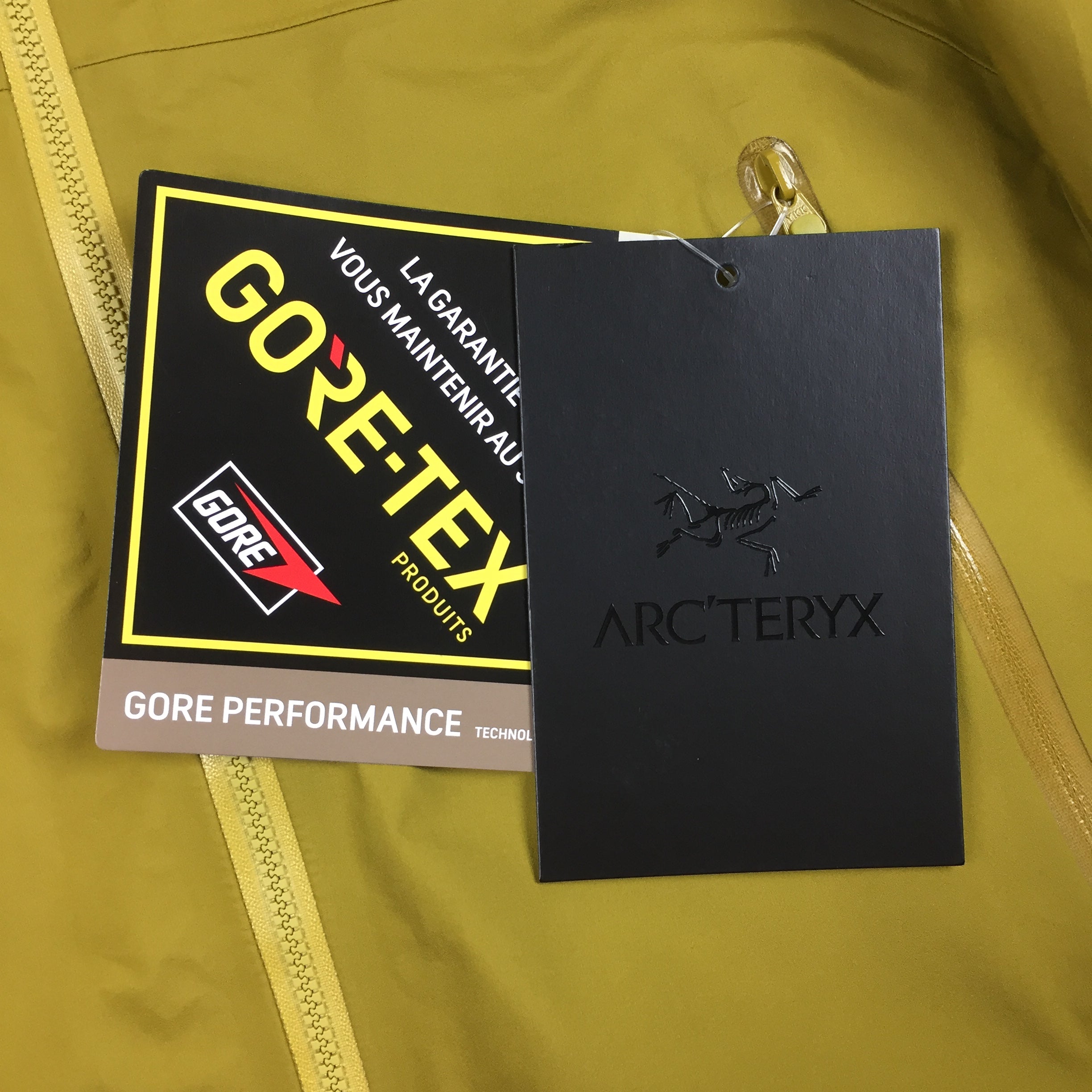 Arcteryx Daze Beta