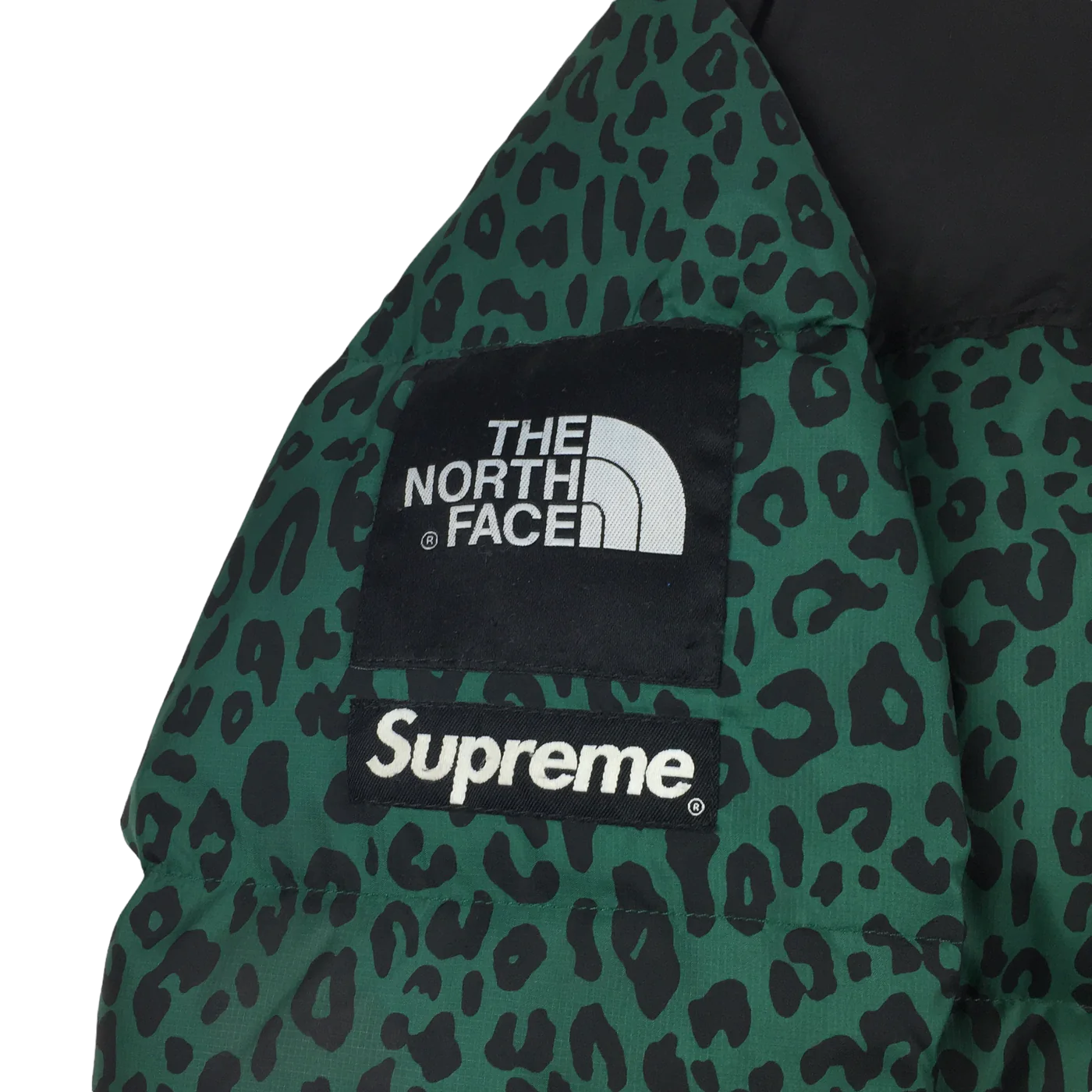 2011 Supreme x The North Face Green Leopard
