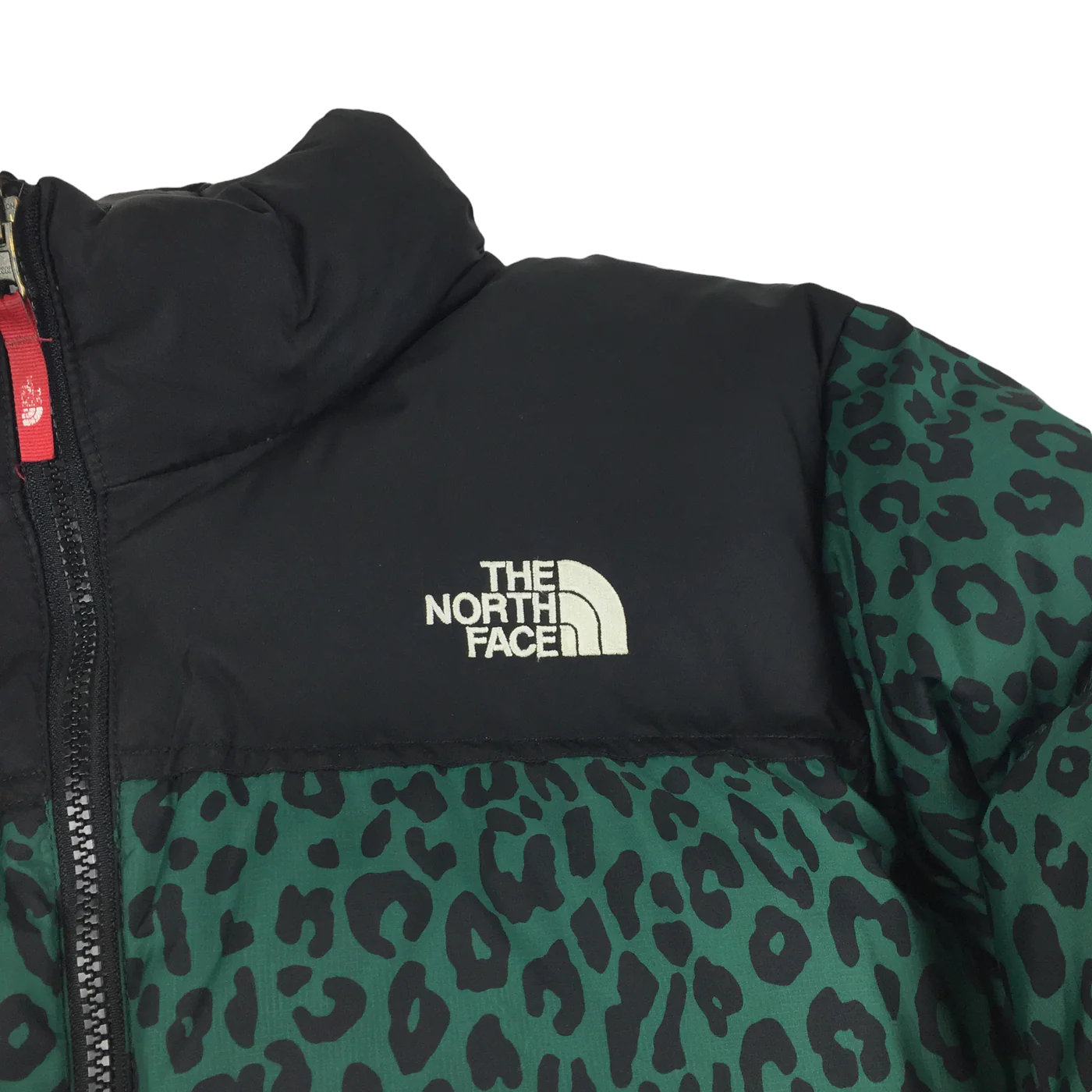 2011 Supreme x The North Face Green Leopard