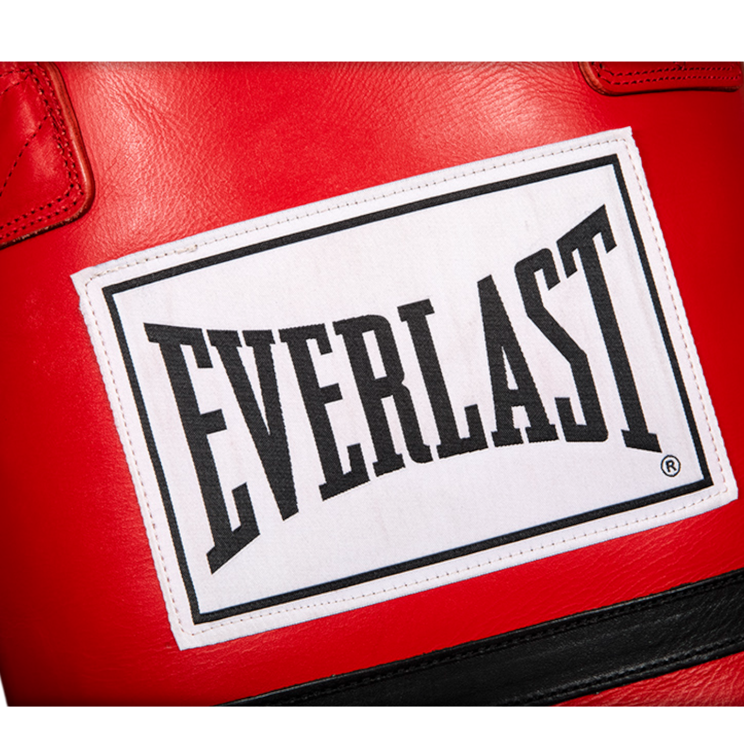 2016 Supreme x Everlast Punching Bag