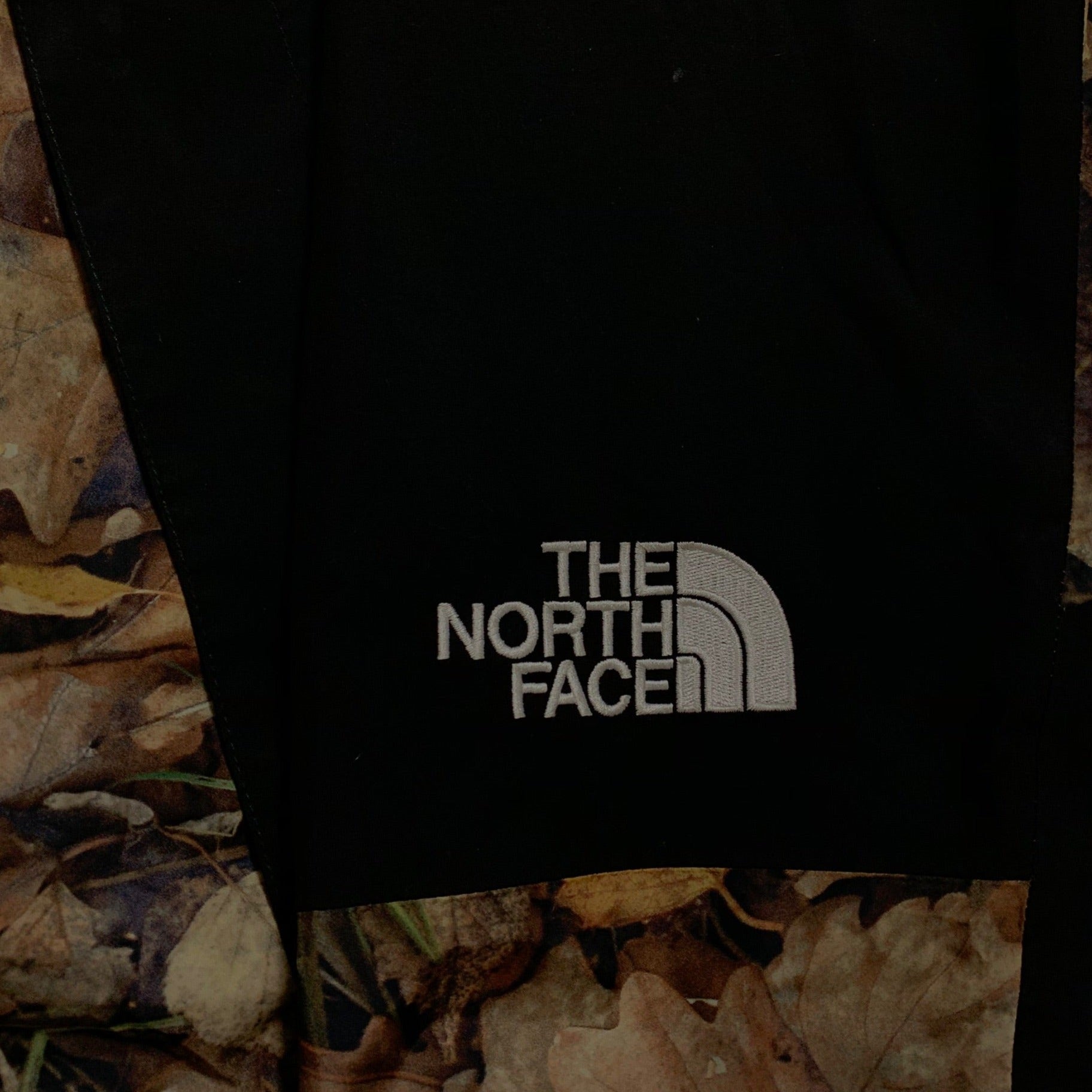 2016 Supreme x The North Face Leaves Mountain Light