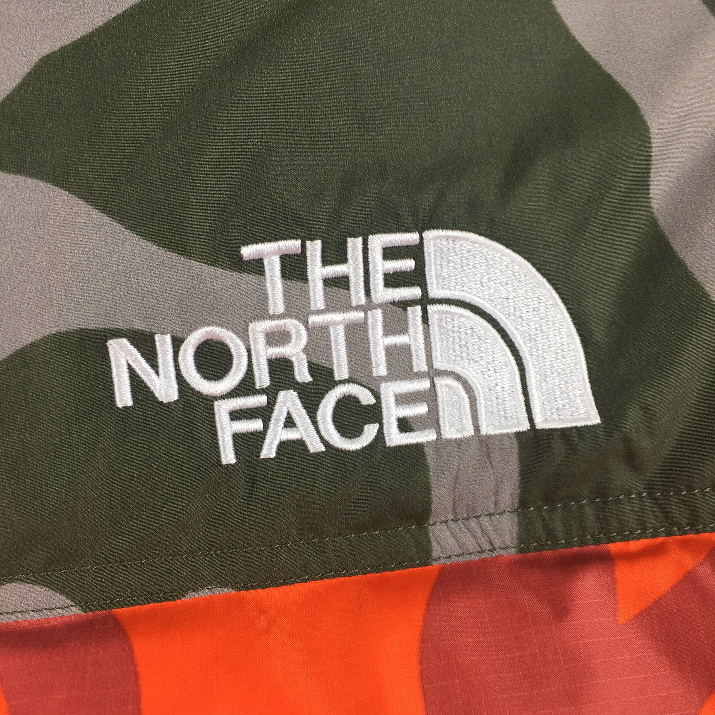 KAWS x The North Face Blue Nuptse
