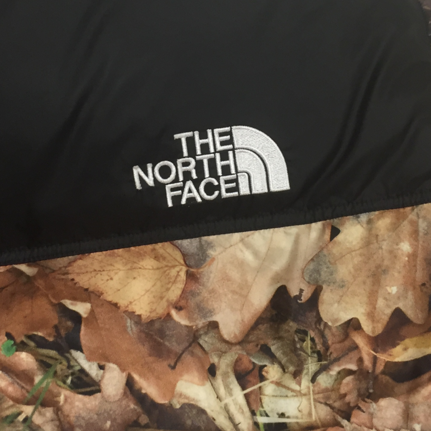 2016 Supreme x The North Face Leaves Nuptse
