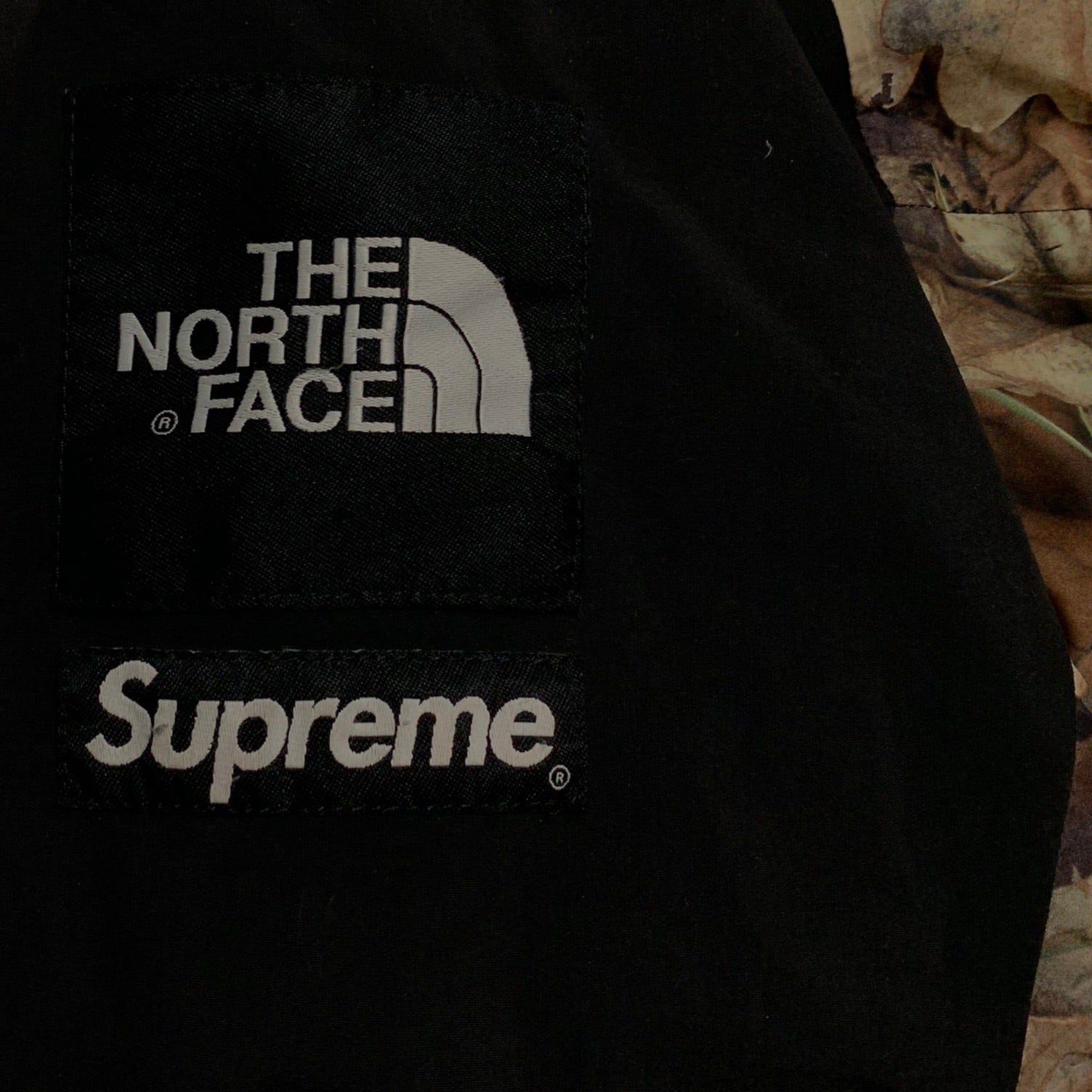2016 Supreme x The North Face Leaves Mountain Light