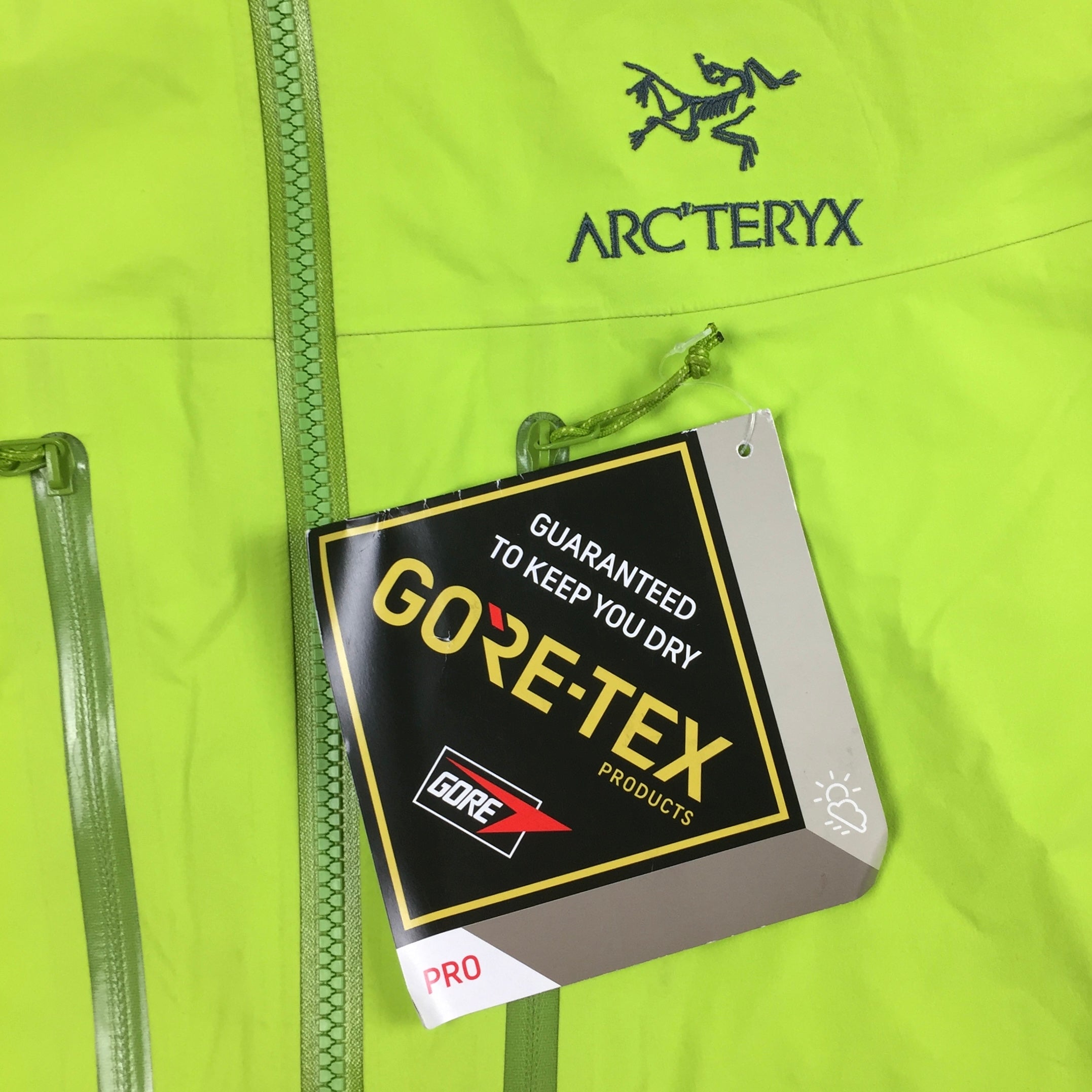 Arcteryx Neon Alpha AR