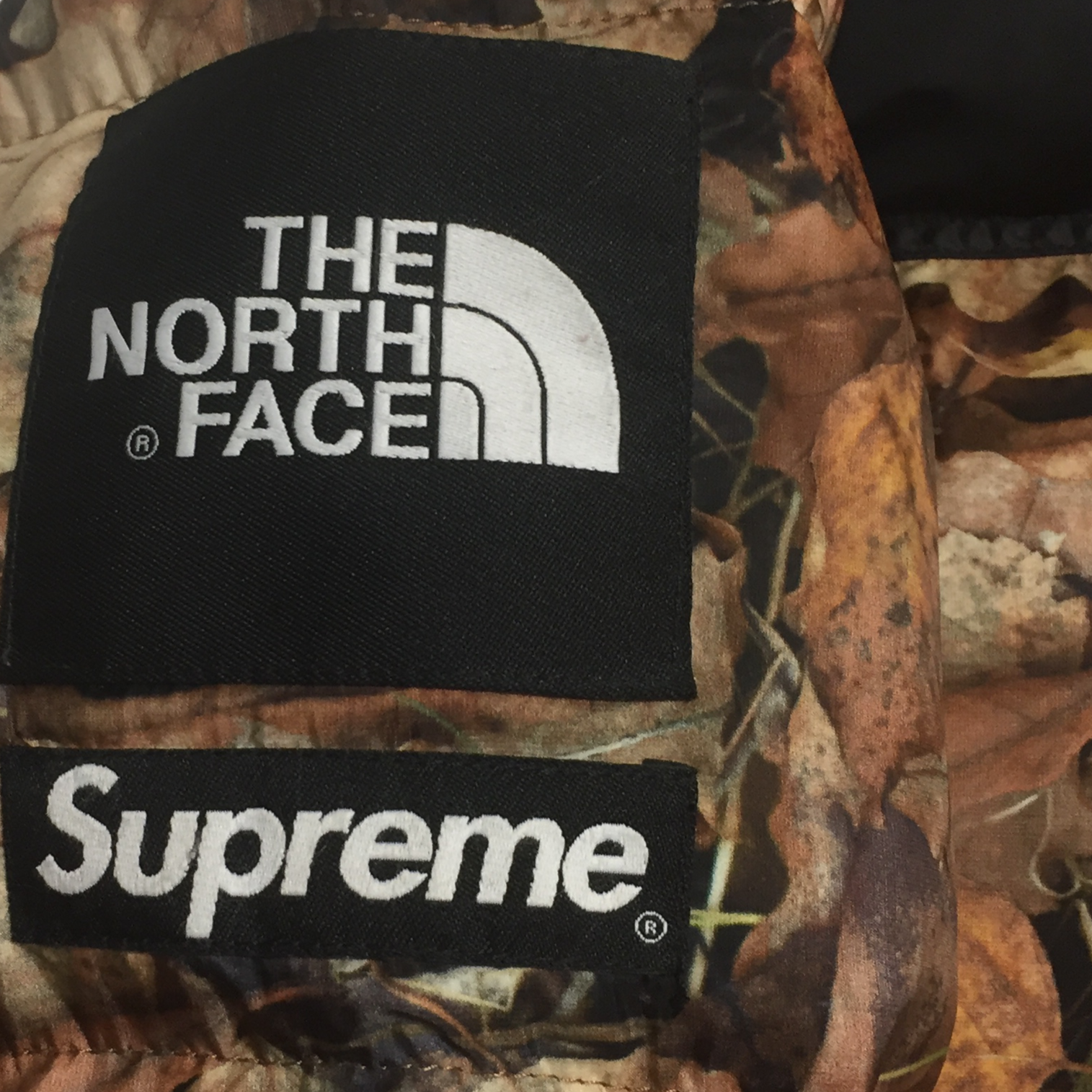 2016 Supreme x The North Face Leaves Nuptse