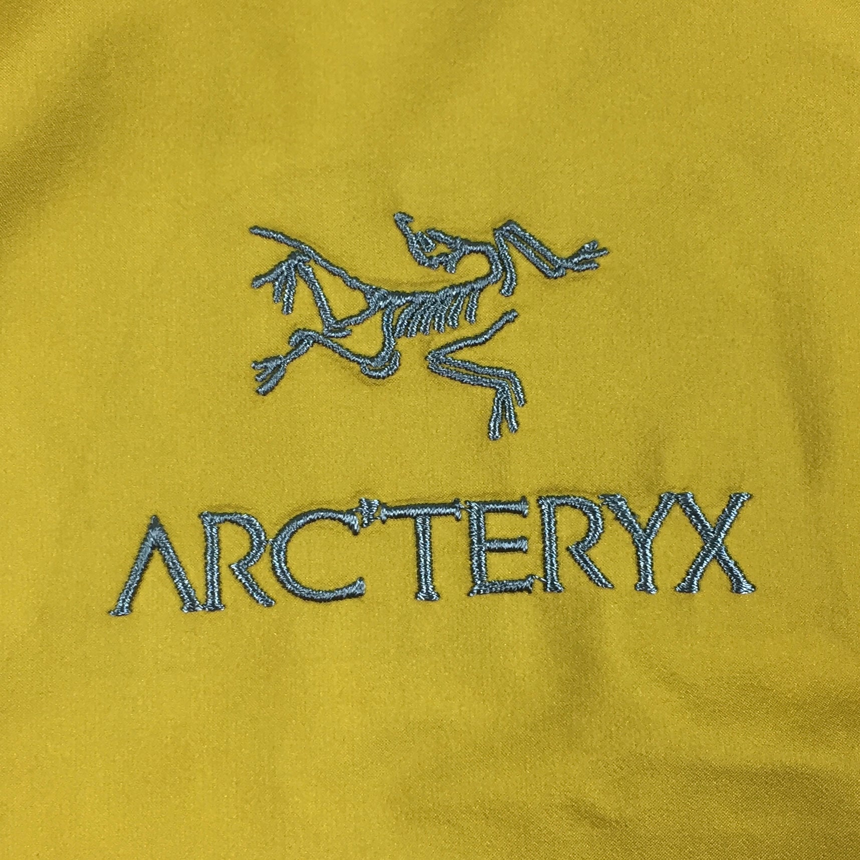 Arcteryx Daze Beta