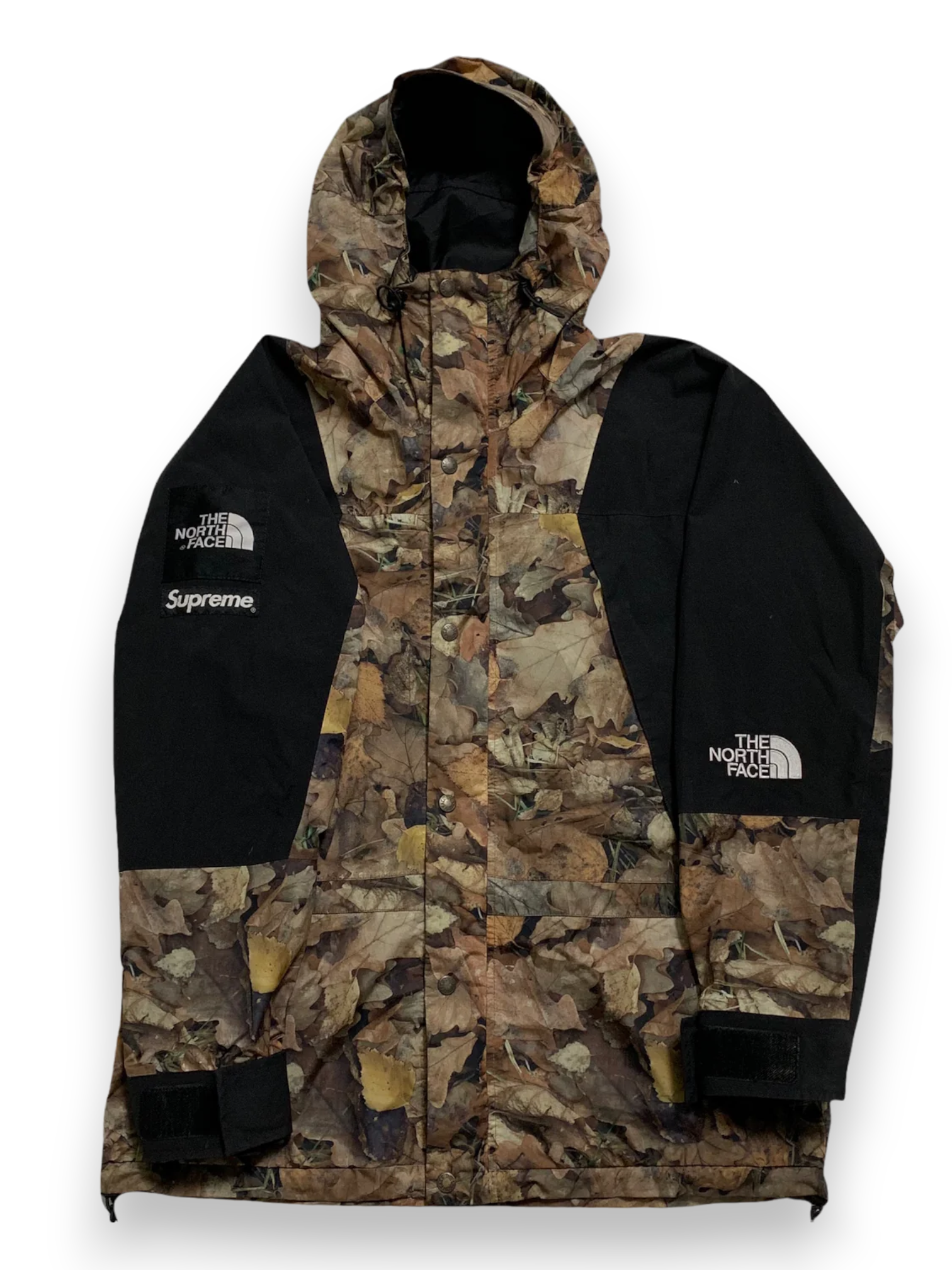 2016 Supreme x The North Face Leaves Mountain Light