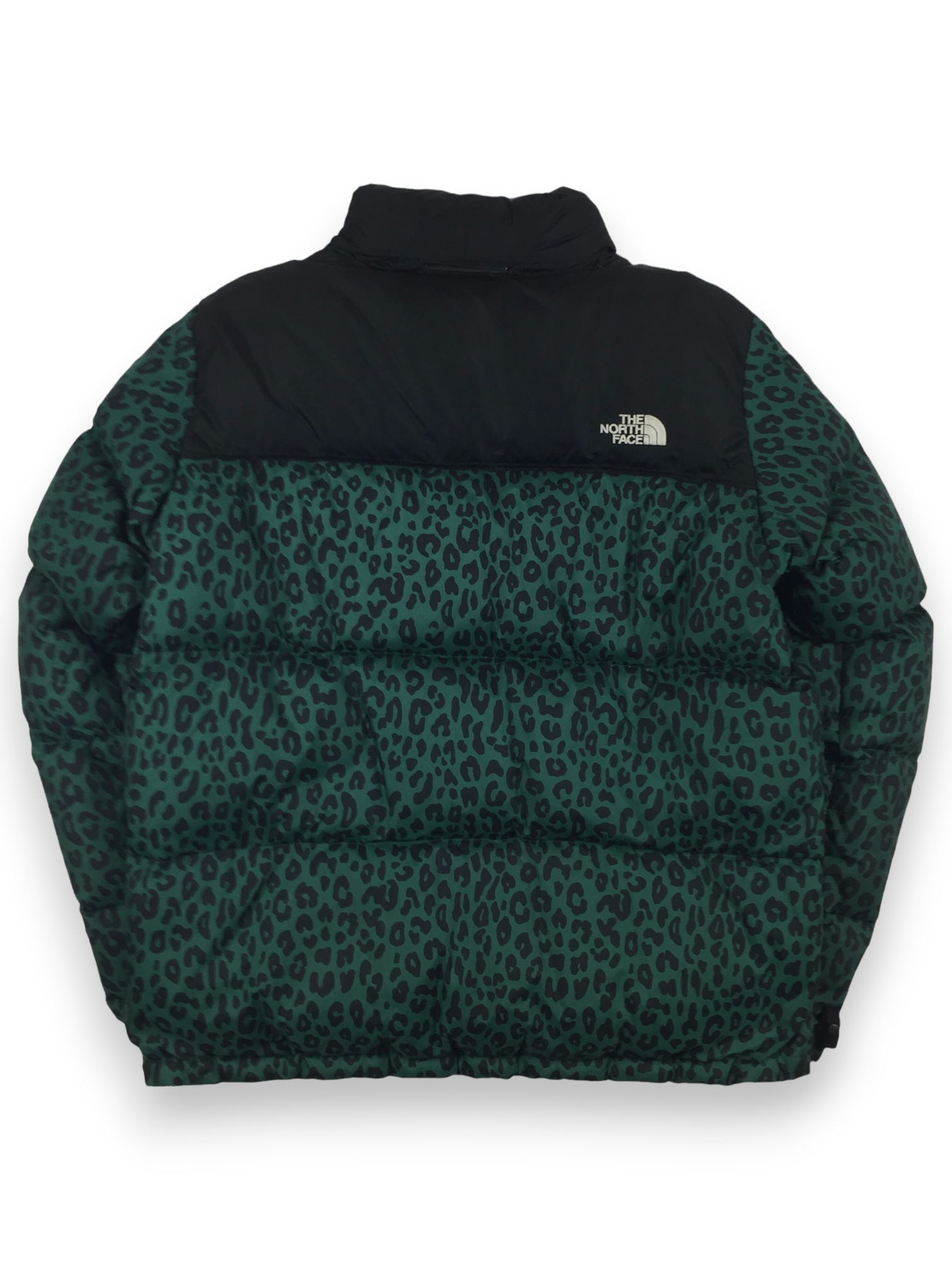 2011 Supreme x The North Face Green Leopard