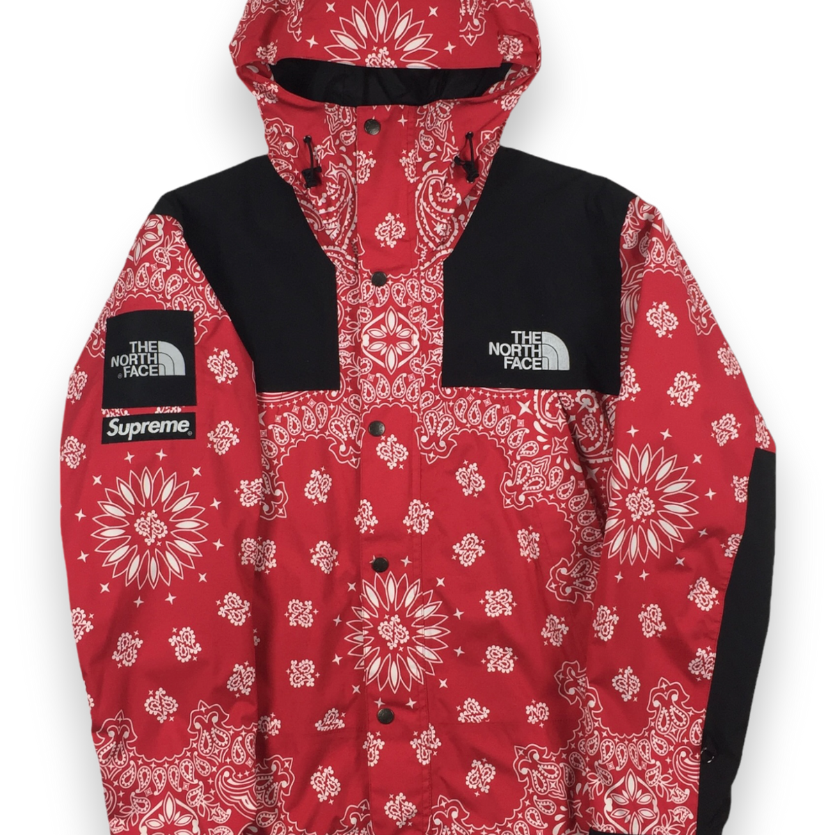 2014 Supreme x The North Face Red Bandana Mountain Light
