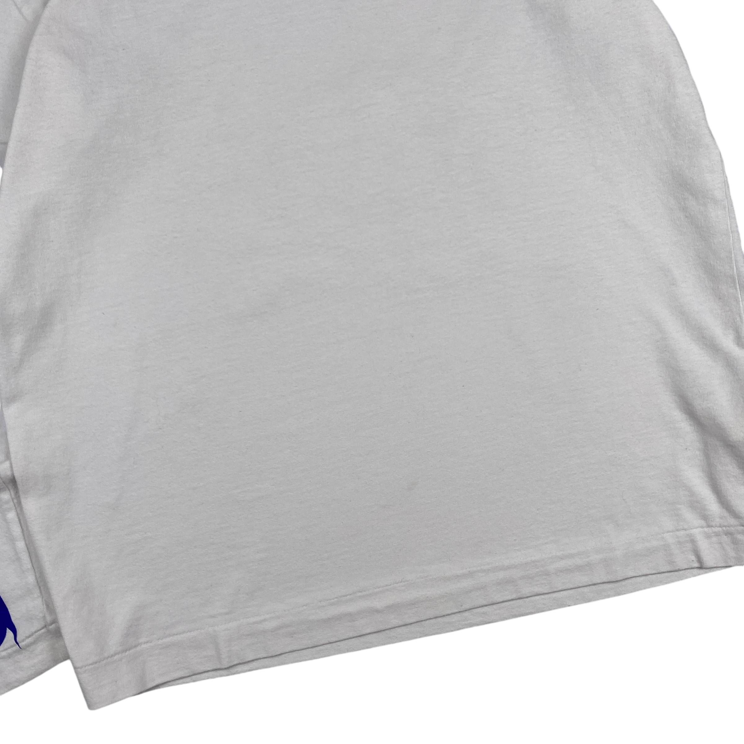 COMMEdesGARÇONS White Blue Longsleeve