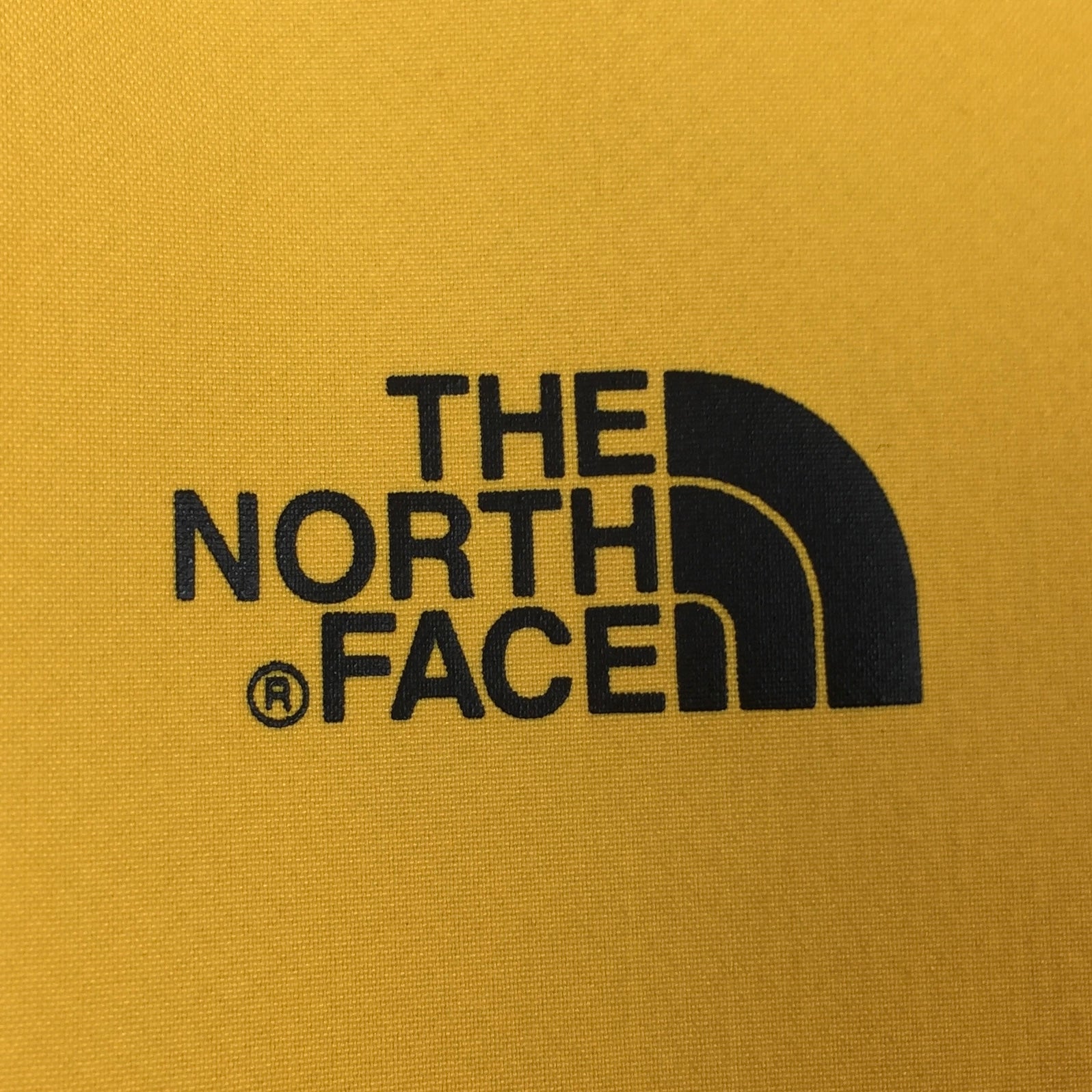 2015 Supreme x The North Face Packable Yellow Coach