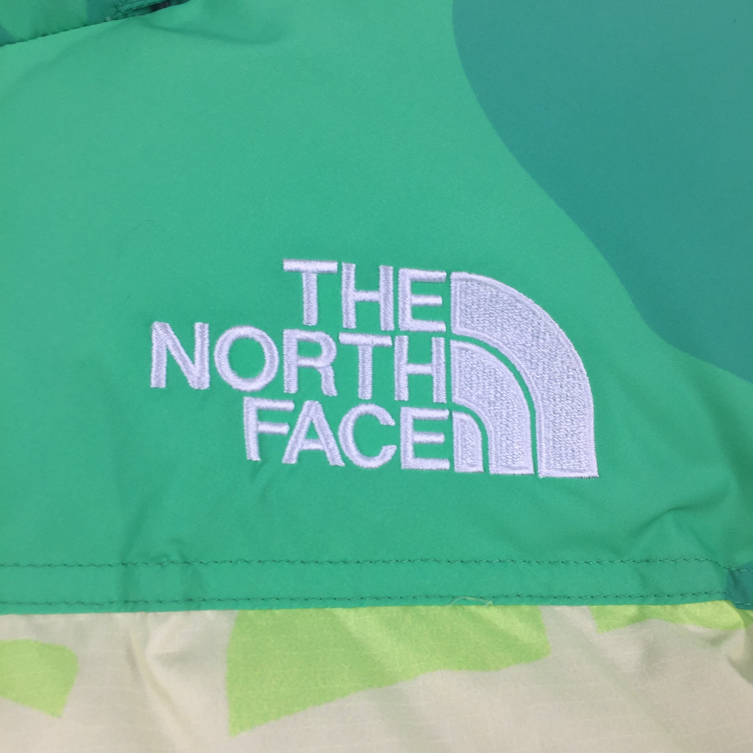 KAWS x The North Face Green Nuptse