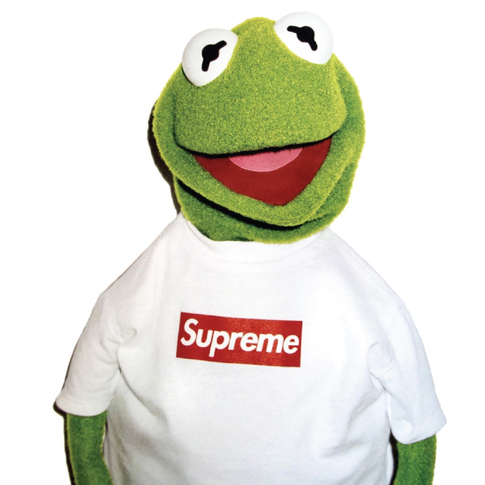 2008 Supreme Kermit White Photo Tee